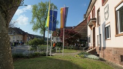 2022 Maibaum stellen (6)